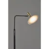 Lucas Floor Lamp (Includes LED Light Bulb) Black - Adesso
